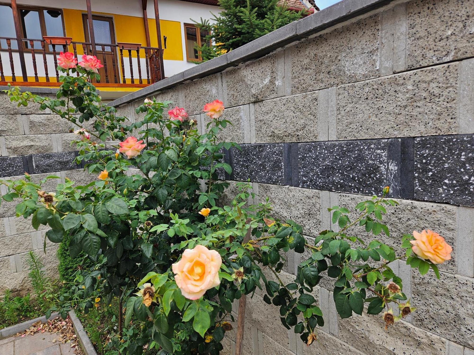 Aparthotel Casa Raduly Sibiu Esterno foto